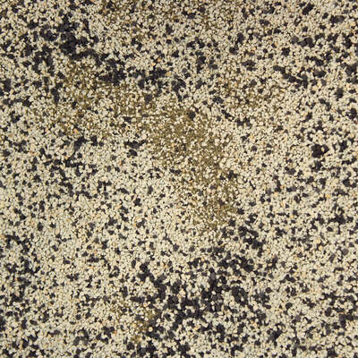 Root Fusion - Mycorrhizae Funghi For Root System