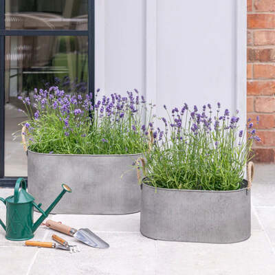 Galvanised Steel Trough Planters With Rope Handles