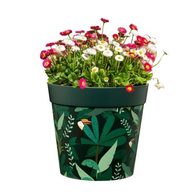 Jungle Plant Pots by Campsis Flowersea 16.8cm Pack of 3