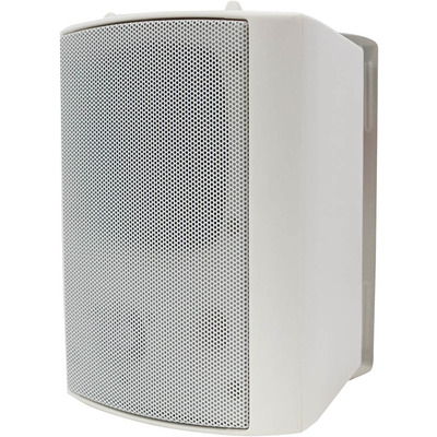 100 Volt Background Speaker (Pair) - 6.5" White