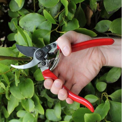 Professional Pruner Strong and Light Darlac DP30