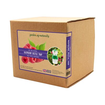 Raspberry Beetle Trap and Refills with Attractant