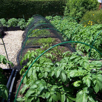Flexible Garden Hoops for Creating Cloches Green