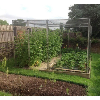 Butterfly Netting Green or Black