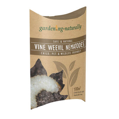Vine Weevil Nematodes 100sq.m Gardening Naturally