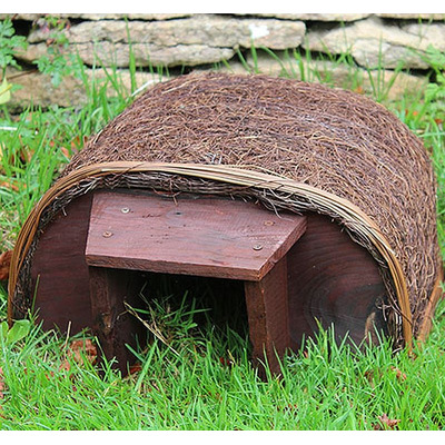 Hedgehog Haus