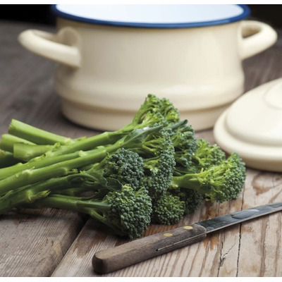 Organic Broccoli Seed - Green Sprouting