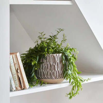 Leaf Embossed Indoor Ceramic Planter