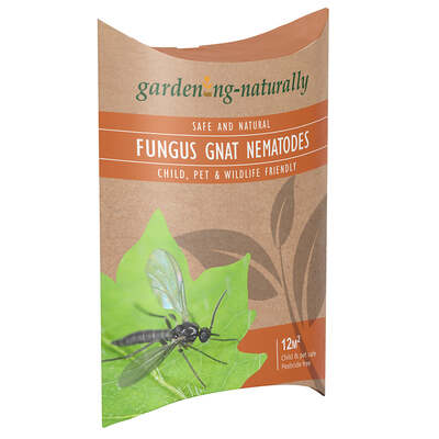 Fungus Gnat Nematodes