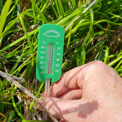Nematode Soil Thermometer For Gardens