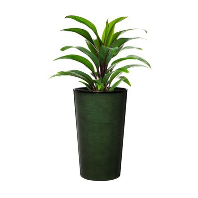 Tall Ceramic Finish Plant Pots Balata by Flowersea