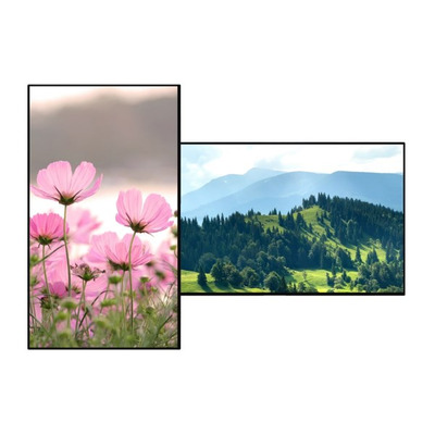 CM Pro Non-touch Commercial Displays