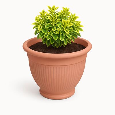 Terracotta Pinky Plant Pot