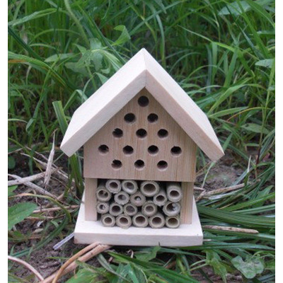 Make Your Own Insect House