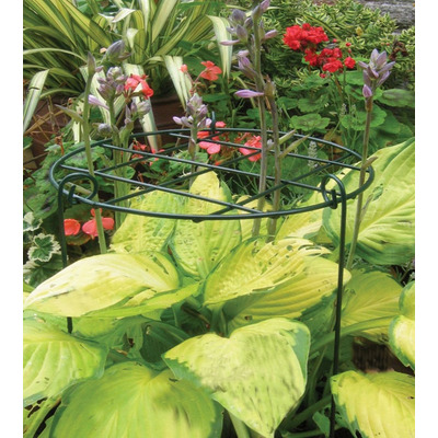 All Round Plant Supports