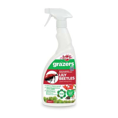 Lily Beetle Spray Grazers