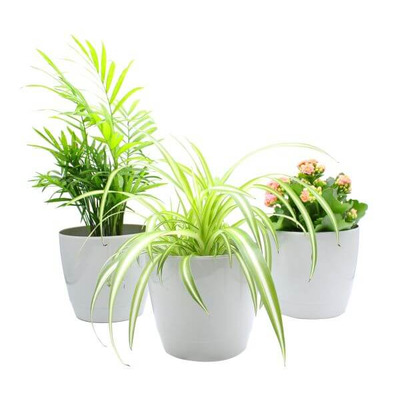 Indoor Plant Pot - Round