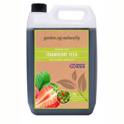 Strawberry Feed