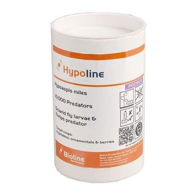 Natural Sciarid Fly Treatment Hypoline M (Hypoaspis mites)