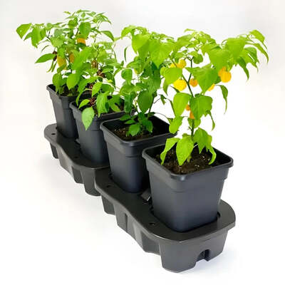 Quadgrow Self-Watering Planter System Water-Efficient Plant Growing