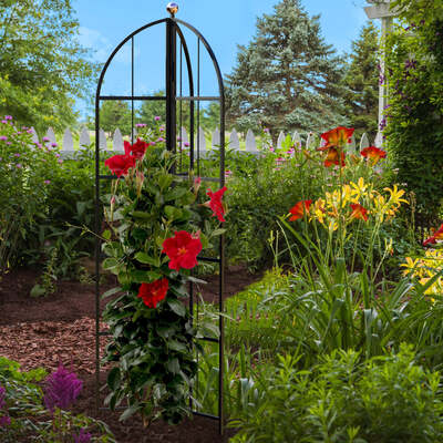 Garden Obelisk 1.6m High
