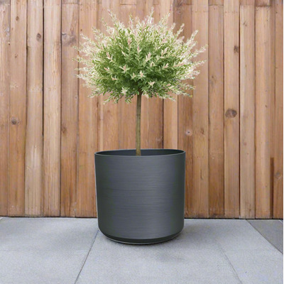 Charcoal Plant Pots Textured 4 Sizes