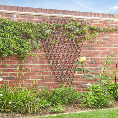 Fan Trellis Extra Strong Expanding  1.8m x 0.9m