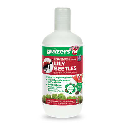 Lily Beetle Spray Grazers