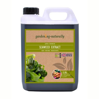 Seaweed Extract Natural Plant Feed