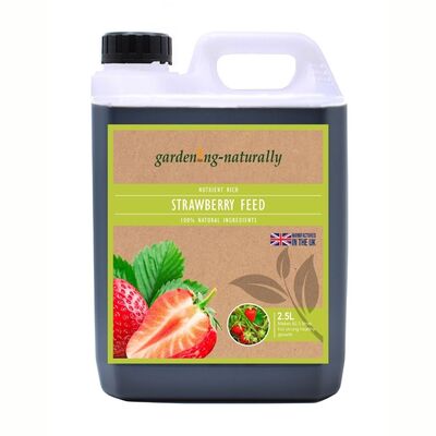 Strawberry Feed