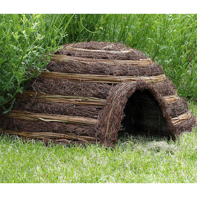 Igloo Hedgehog House