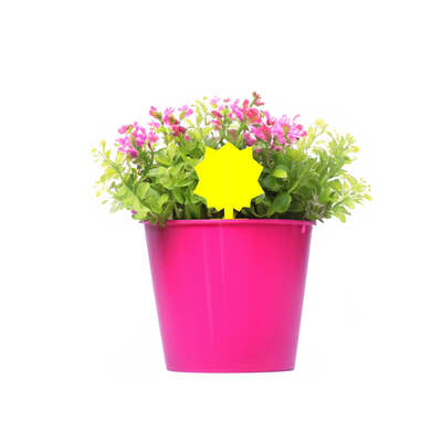 Mini Yellow Sticky Traps Pack of 12
