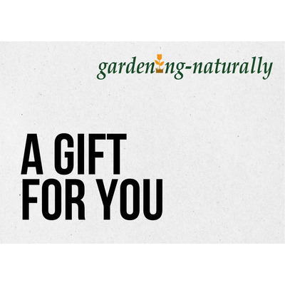 Digital Store Gift Card