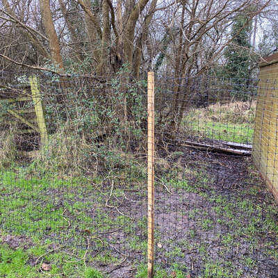 Deer Netting Fence Kit H:1.5m