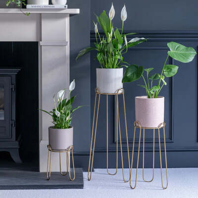Gold Metal Plant Pot Stand for Indoor Use