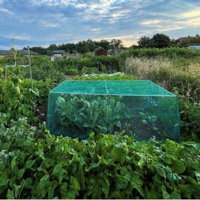 Fruit Cages and Vegetables Cages 700mm High