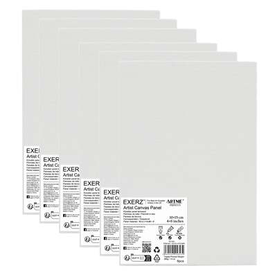 Exerz canvas panels 6pk 10x15cm