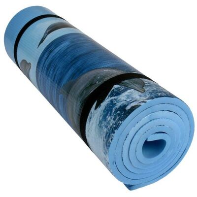 Meteor EVA Single-Layer Dolphin Sleeping Pad - Blue
