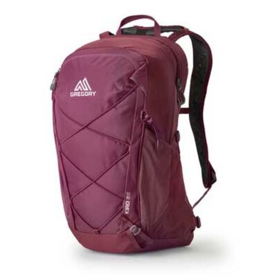 Gregory Kiro 22 Day Pack - Purple