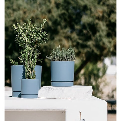 Indoor or Outdoor Pots Erith