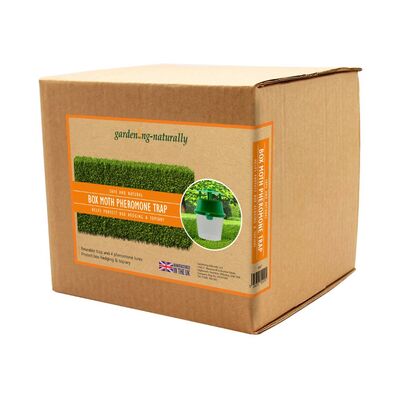 Box Tree Moth Traps and Refills