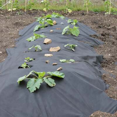 Weed Control Fabric