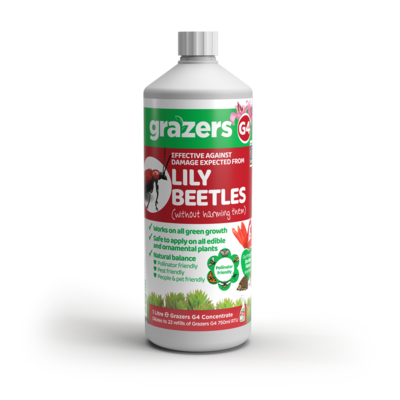 Lily Beetle Spray Grazers