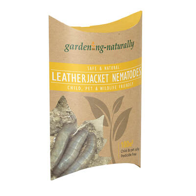 Leatherjacket Nematodes 100 sq.m