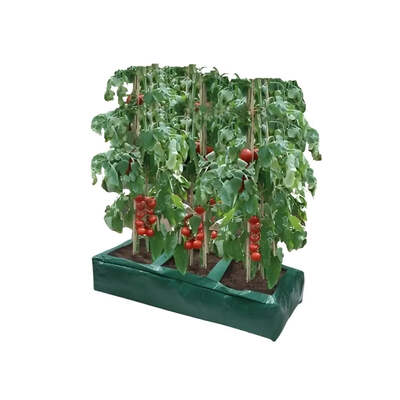 Reusable Growing Bag Deep Root System