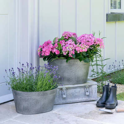 Oval Galvanised Trough