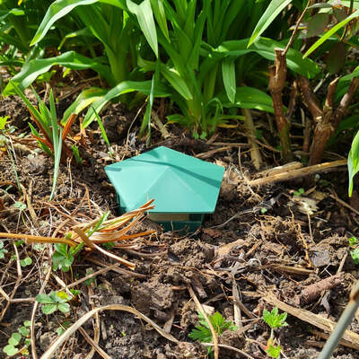 Slug and Snail Trap x 2