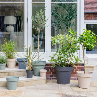 Cleo Planter With Wheels