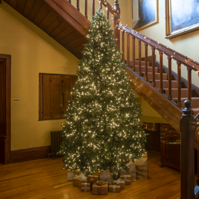 Windsor Fir Artificial Pre-Lit PE Christmas Tree 6.5FT, 7.5FT, 8.5FT, 10FT, 8.5ft (2.6m)