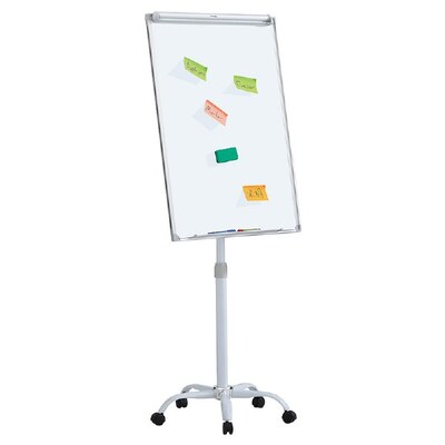 Economy Mobile Magnetic Flipchart Easel